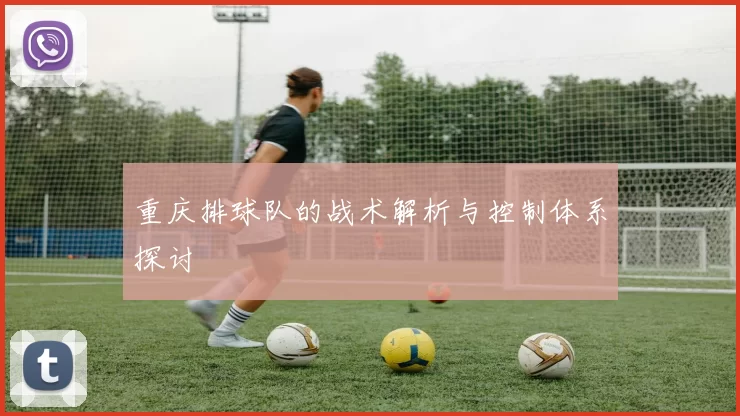 重庆排球队的战术解析与控制体系探讨
