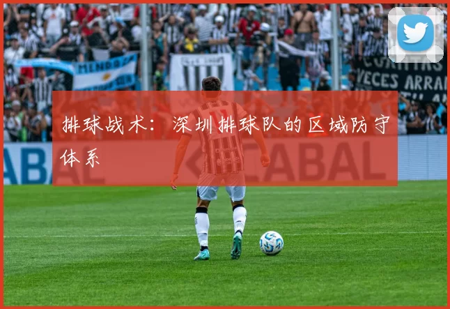 排球战术：深圳排球队的区域防守体系