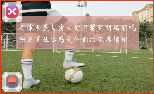 足球明星与爱犬的温馨时刻精彩视频分享让你感受他们的深厚情谊