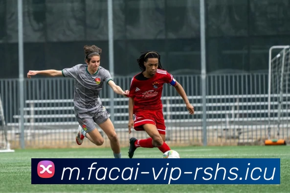 星空体育注册APP 体育赛事宣传图